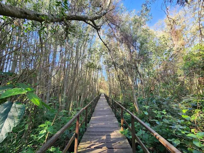 El Pre Delta: un gigante de biodiversidad que protege la identidad del río