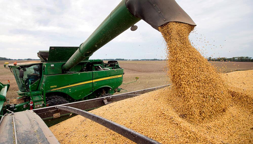 La cosecha de soja en Entre Ríos alcanza el 15% en los lotes de primera