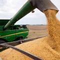 La cosecha de soja en Entre Ríos alcanza el 15% en los lotes de primera