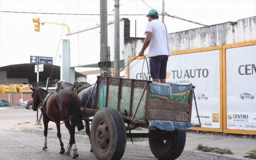 Tracción a sangre: Concordia avanza hacia la prohibición definitiva