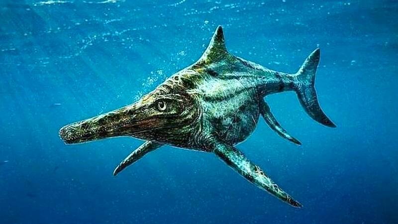 Neuquén: rescatan restos de un ictiosaurio de 145 millones de años en Loncopué