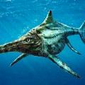 Neuquén: rescatan restos de un ictiosaurio de 145 millones de años en Loncopué