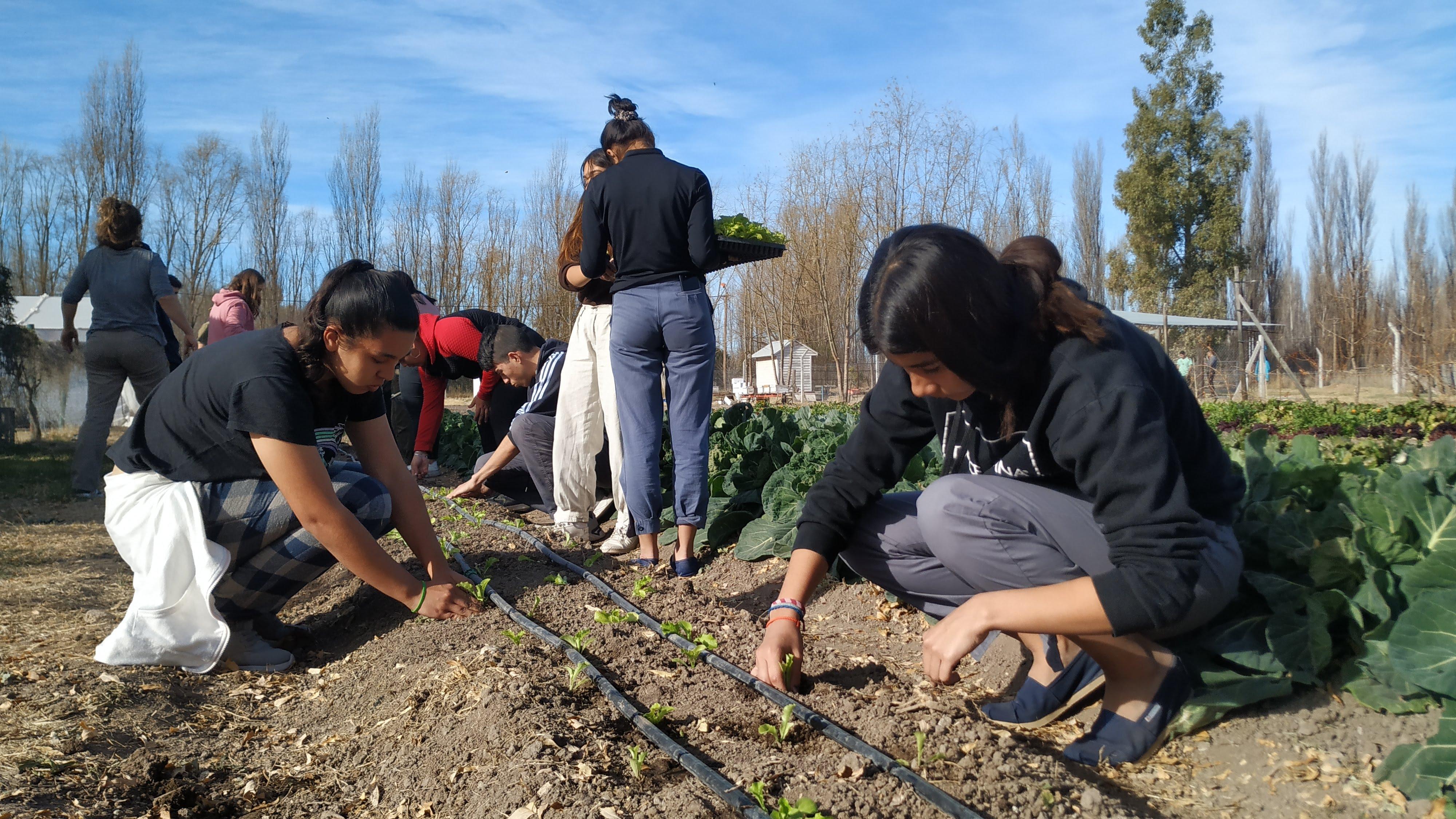 Crece la cantidad de escuelas rurales entrerrianas que impulsan proyectos tecnológicos y productivos