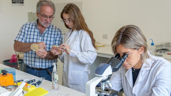 Economía circular en Diamante: transforman residuos del arroz en bioplásticos biodegradables