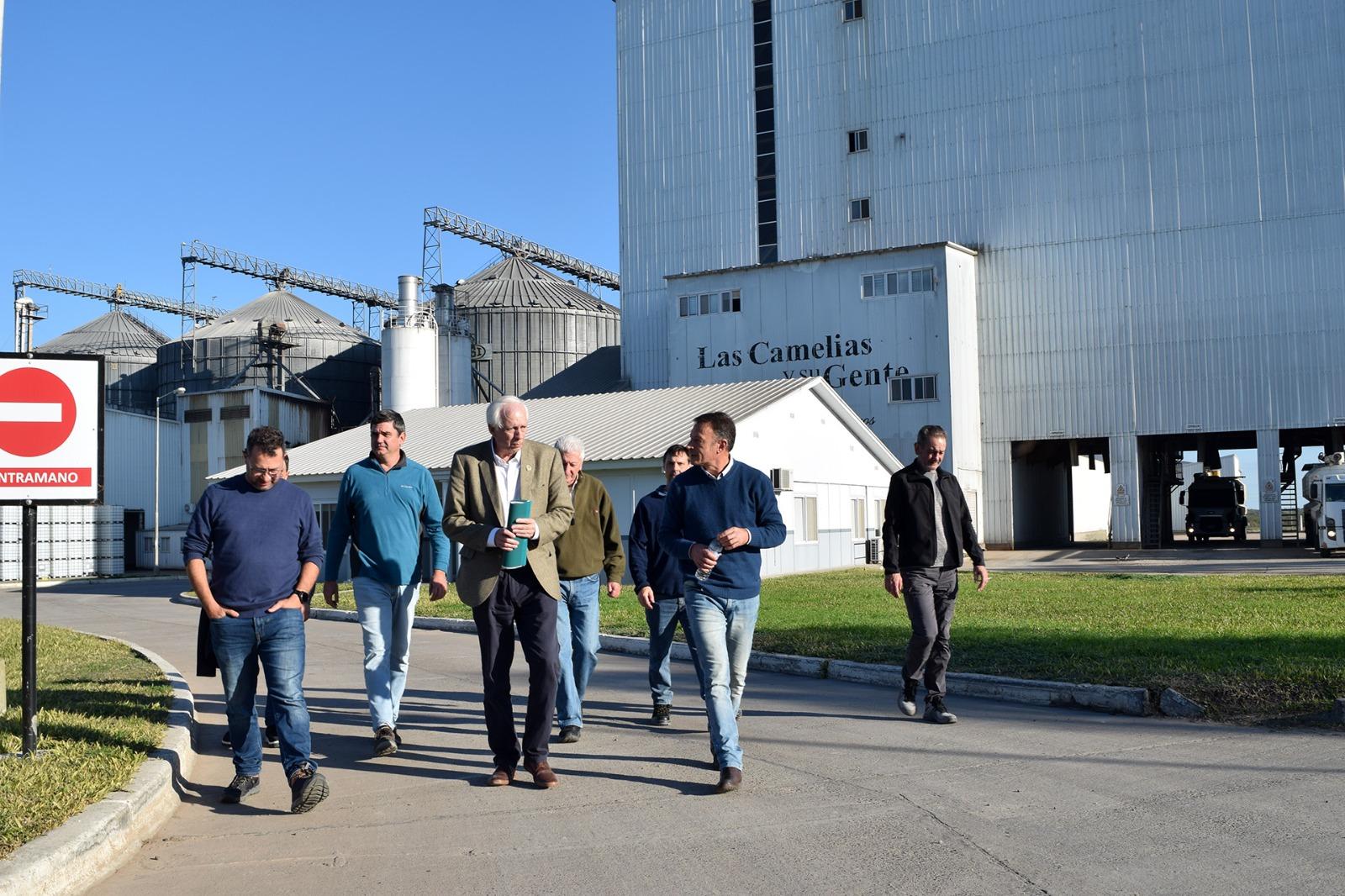 Las Camelias expande su capacidad avícola en Villaguay con tecnología de punta