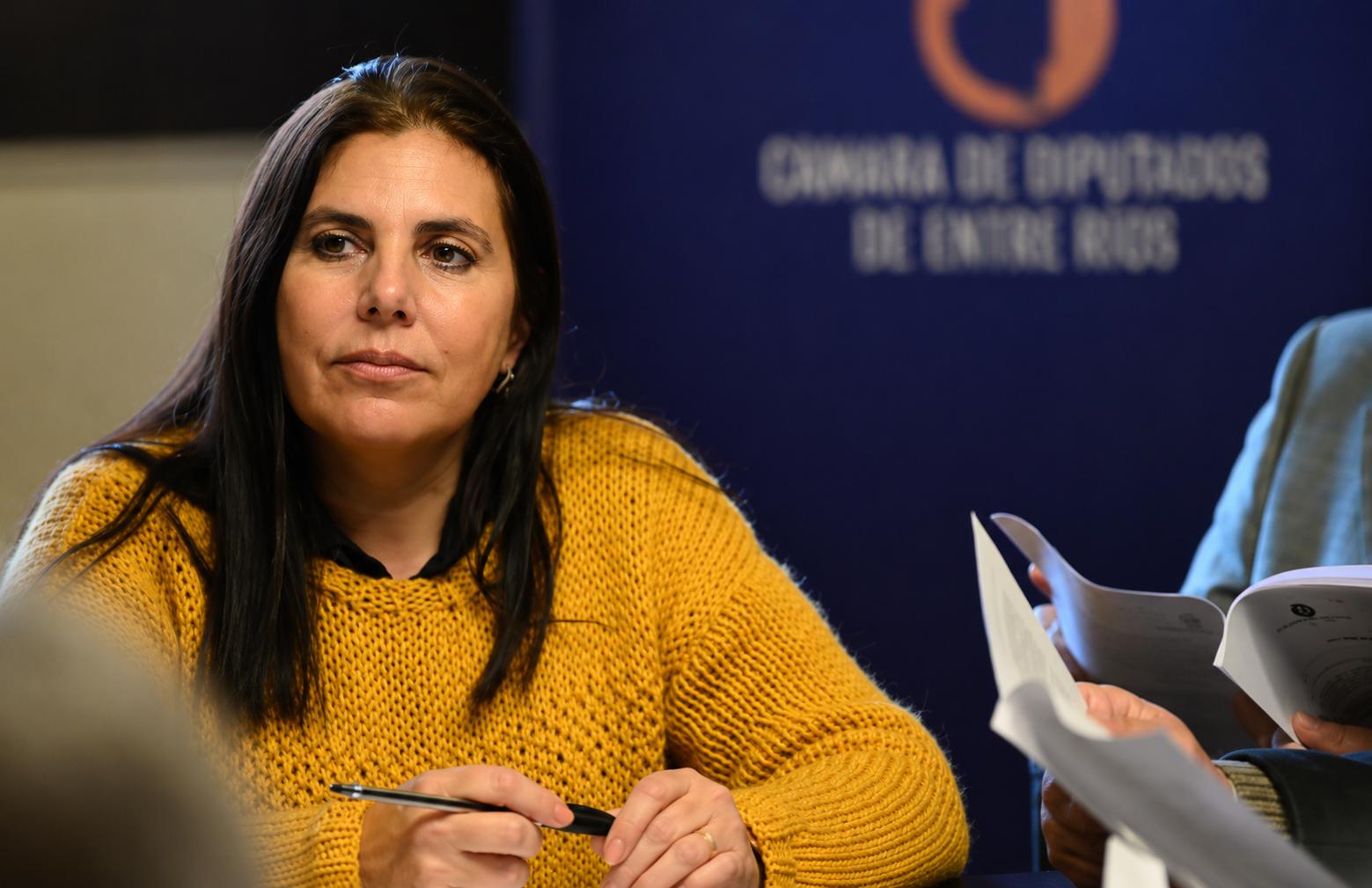 Diputados avanzan en el debate sobre juicio político y tratan proyecto del desarrollo del norte entrerriano