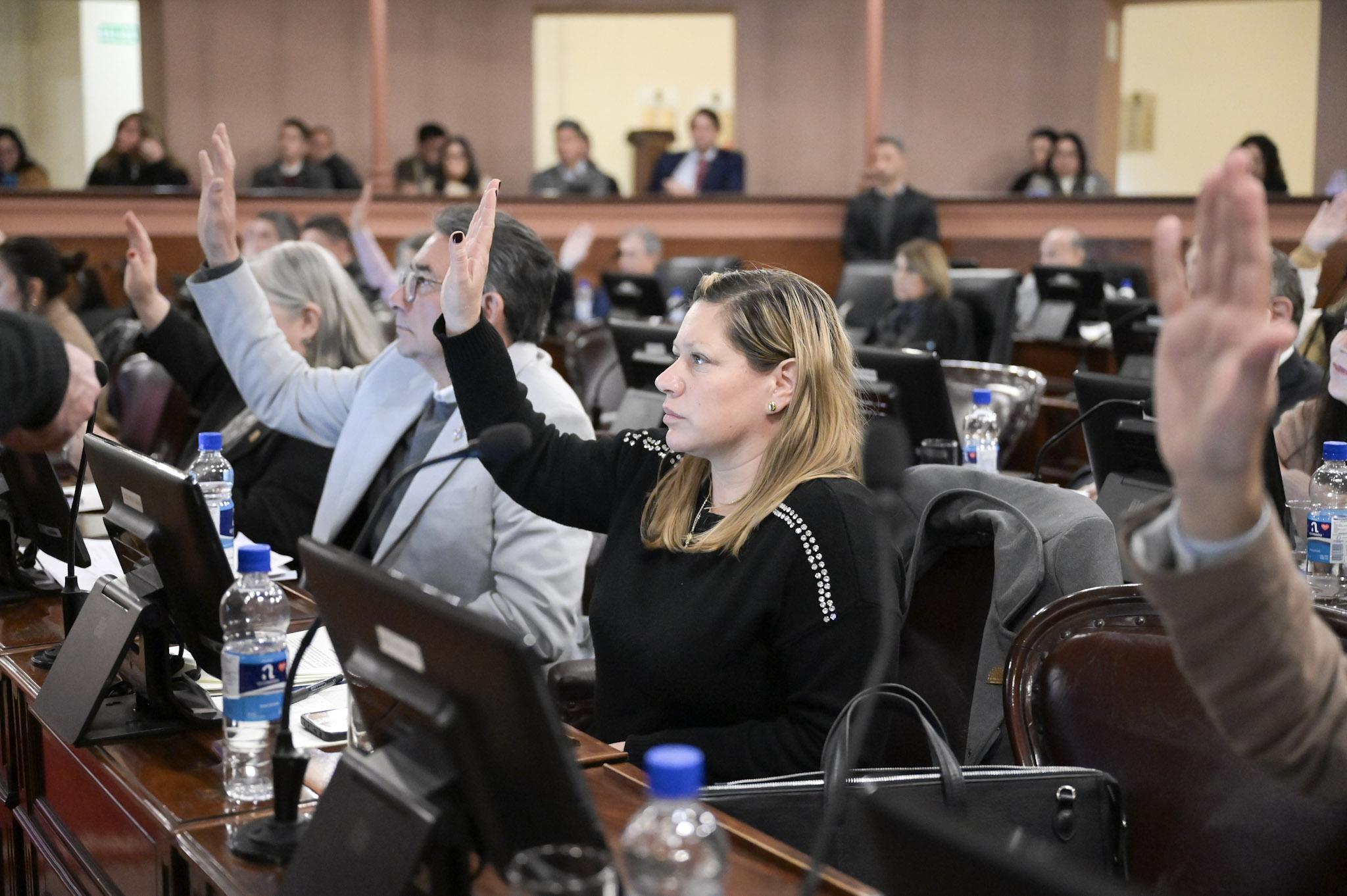 Diputados dio media sanción al régimen de Compre Provincial y aprobó iniciativas en salud, ambiente y cultura