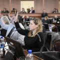 Diputados dio media sanción al régimen de Compre Provincial y aprobó iniciativas en salud, ambiente y cultura