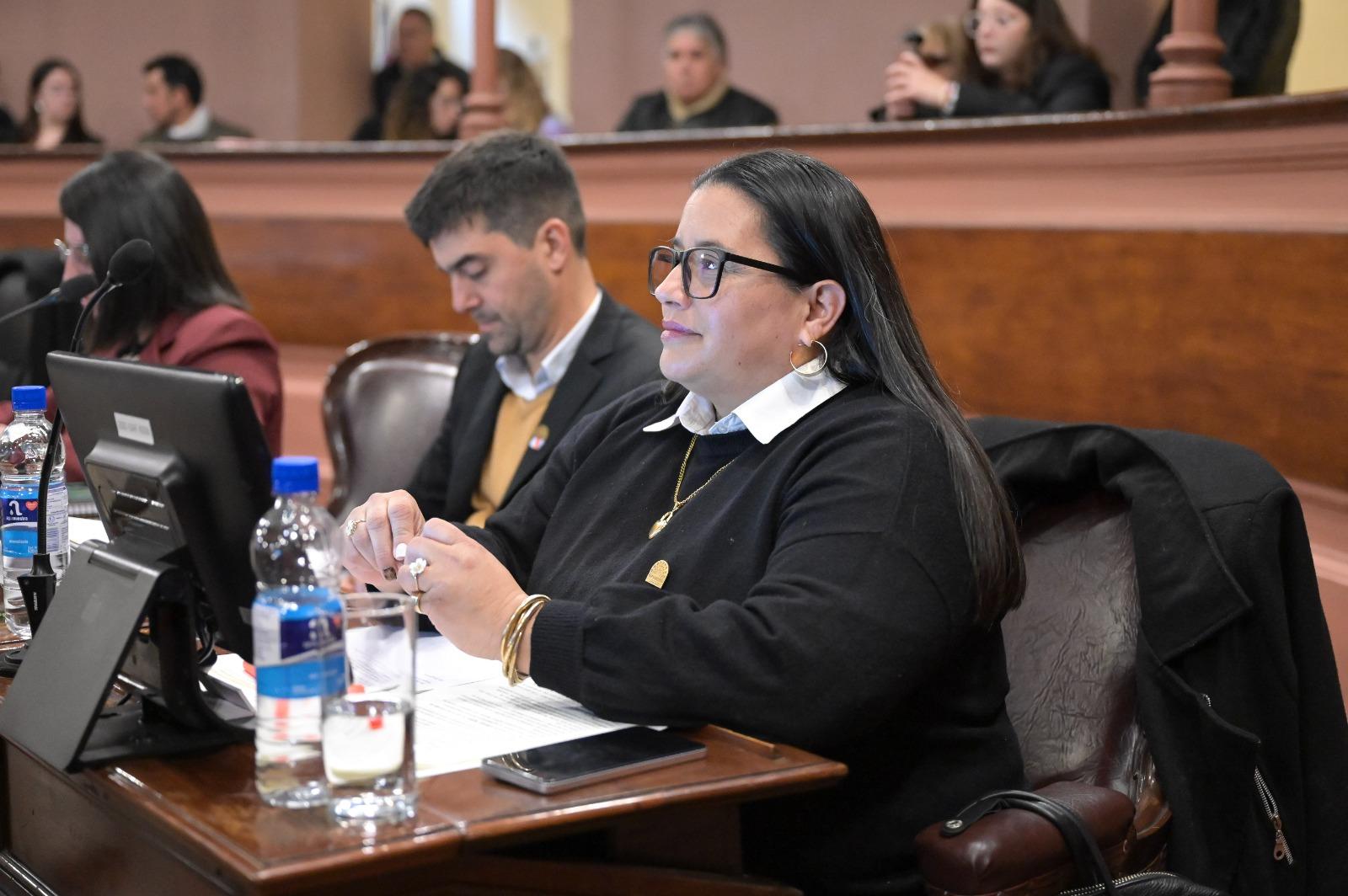 La diputada Taborda defendió el proyecto oficial de reforma de las jubilaciones y reclamó responsabilidad frente a la crisis del sistema