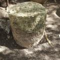 Descubren una antigua ciudad maya oculta durante siglos en la selva mexicana