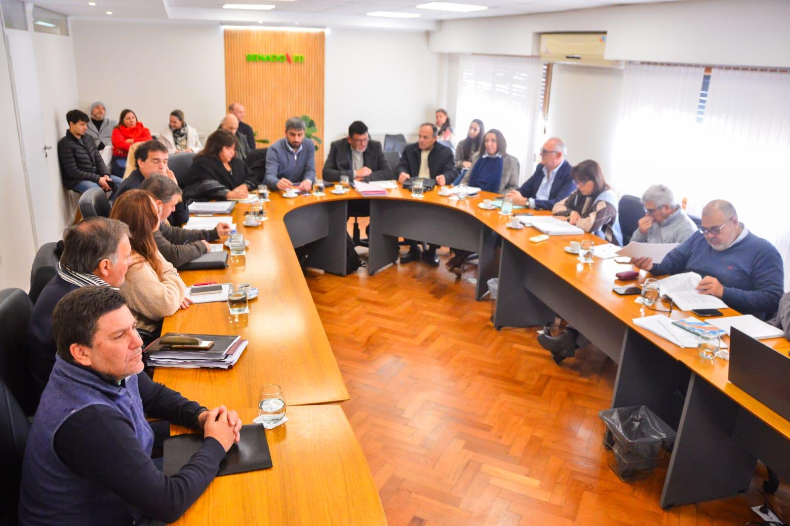 Reforma previsional: el Senado emitió dos dictámenes y el proyecto quedó listo para llegar al recinto
