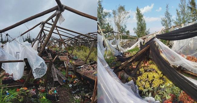 Alivian la carga tributaria a los comercios dañados por el temporal en Concordia