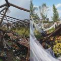 Alivian la carga tributaria a los comercios dañados por el temporal en Concordia