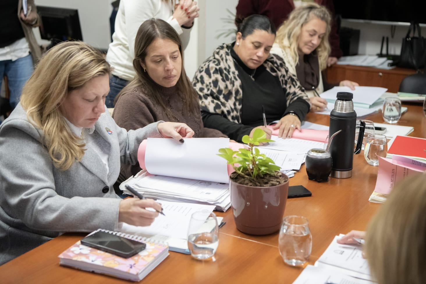 Transformación digital, Malvinas y nuevos juzgados: Diputados avanzó con varios proyectos en Comisiones