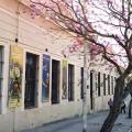 "Cigarras durmiendo": dos nuevos encuentros gratuitos para chicos en el Museo Serrano