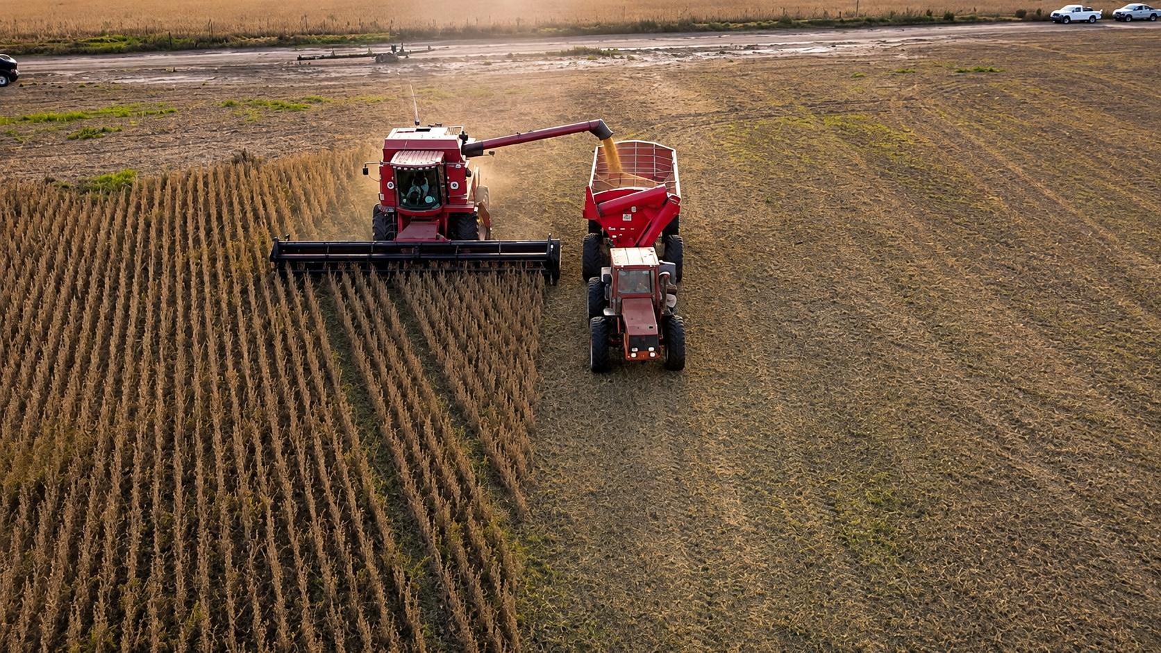 Entre Ríos alcanzó el mayor nivel de producción agrícola de los últimos 25 años