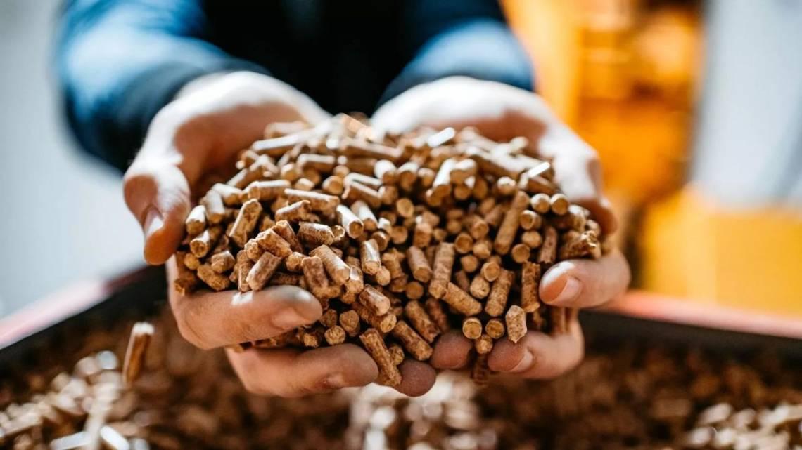 Mendoza transforma los restos de poda en energía limpia y biofertilizantes