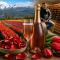 ¿A qué sabe un tulipán? El inédito espumante que nació en el sur argentino