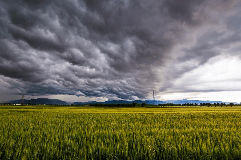El Niño podría mejorar los rindes de maíz y soja en Entre Ríos y la región