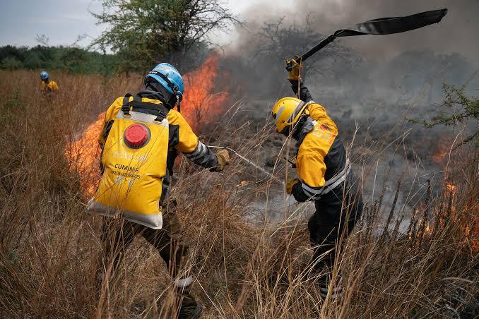 Controlan más del 90% de los incendios en el Delta del Paraná tras un operativo interjurisdiccional