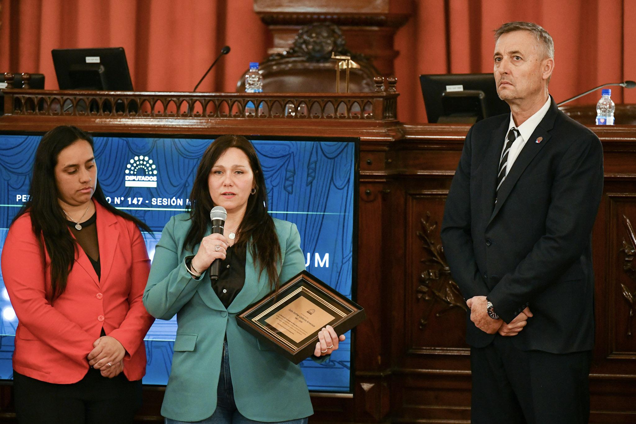 Diputados homenajeó a Julia Calleros Arrecous y tomó juramento a su reemplazante