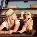 Entre Ríos presentará en la FIT 2026 su propuesta Pet Friendly para poder viajar con mascotas, además del Carnaval, gastronomía y turismo de río