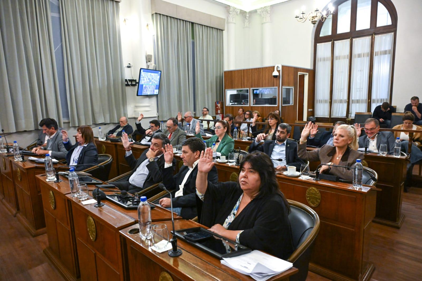 El Senado aprobó leyes sobre actividad avícola y alivio fiscal para comercios