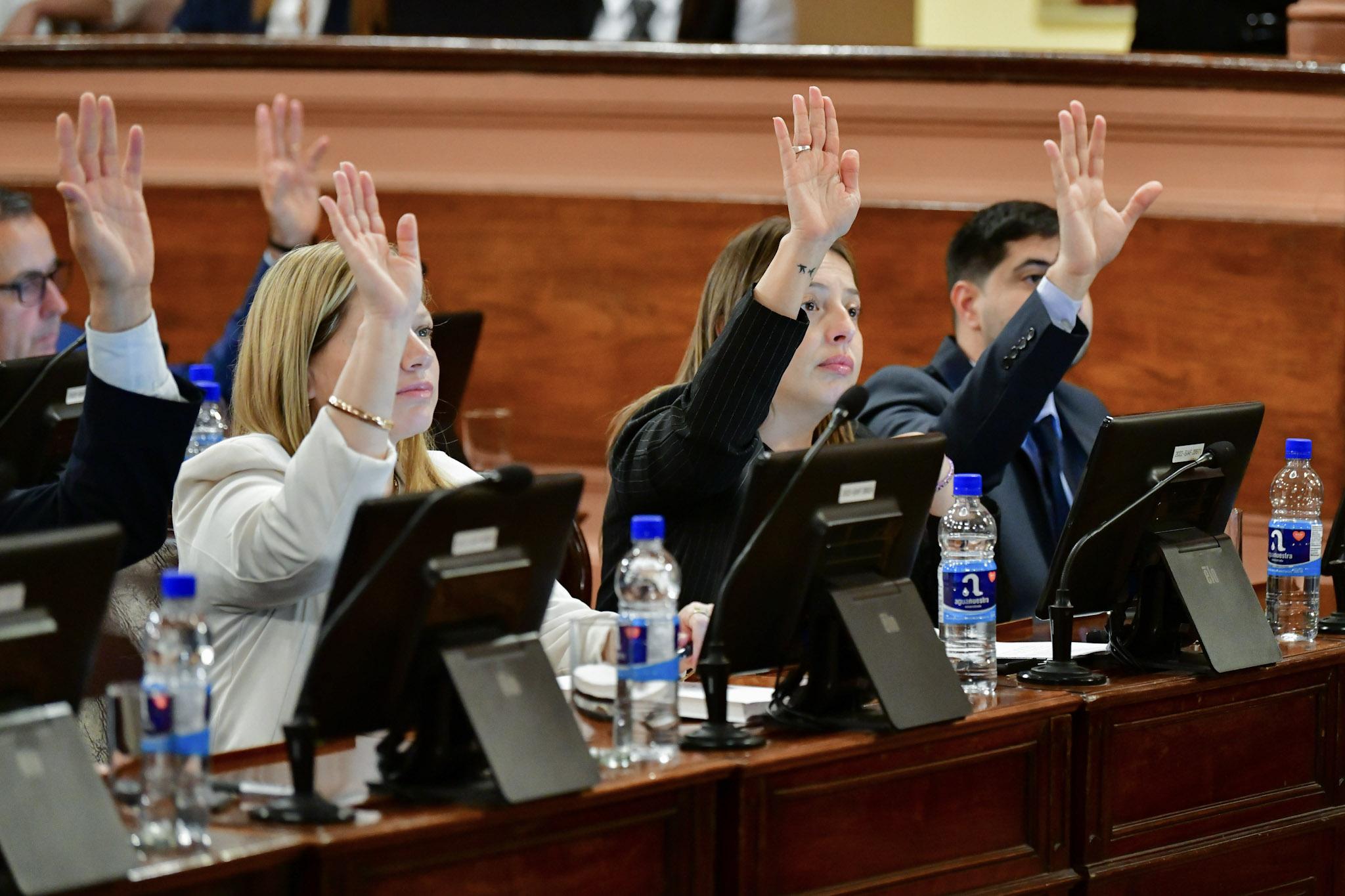 Diputados dio media sanción a la adhesión a la Ley Nacional de Fonoaudiología