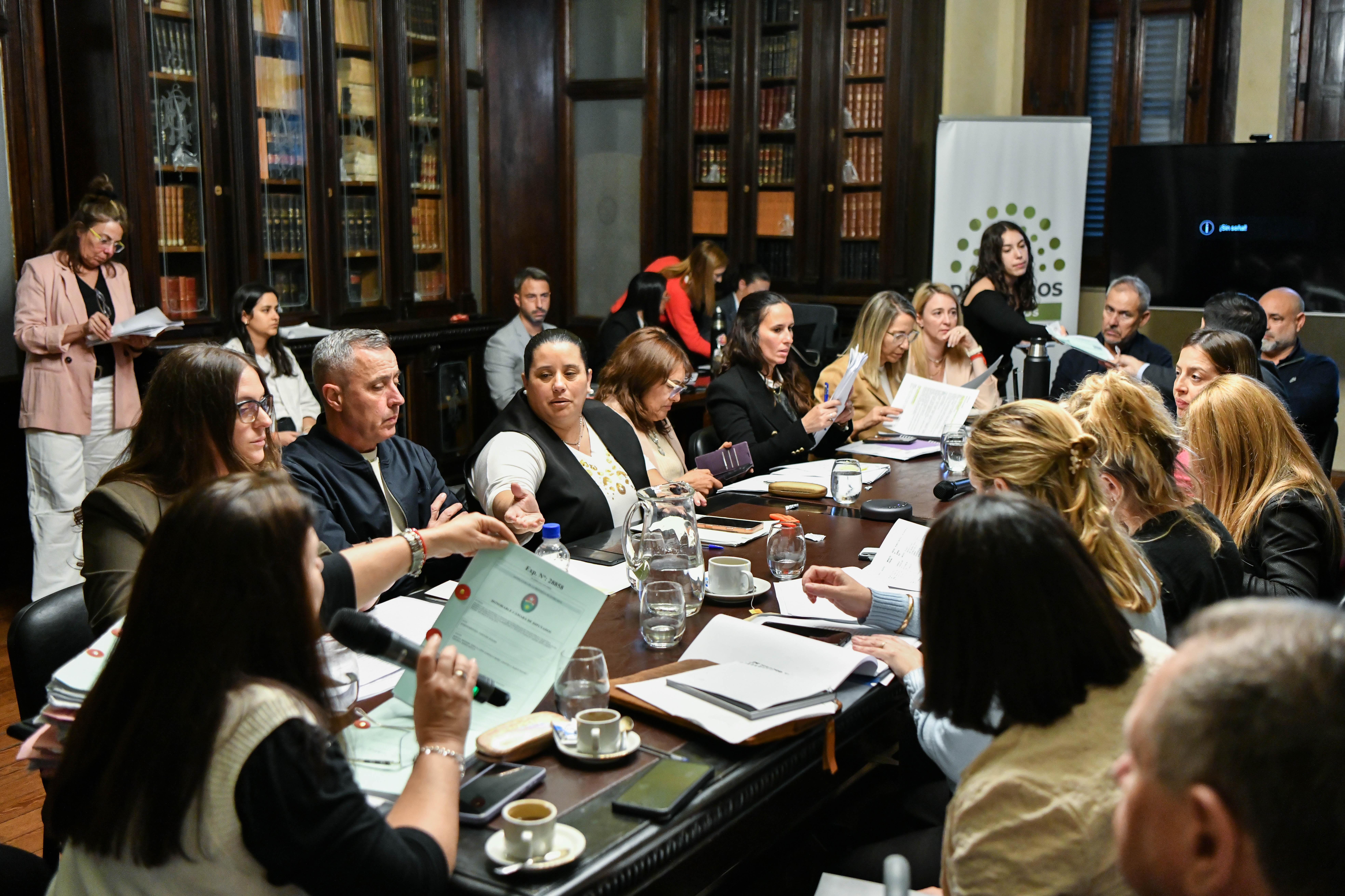 La Cámara de Diputados inició el debate sobre la reforma del Código Procesal Laboral y avanzó con dictámenes en Salud y Legislación General