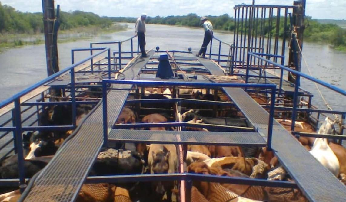 El Niño golpea el Litoral: crecida de los ríos Uruguay y Paraná y alarma entre productores