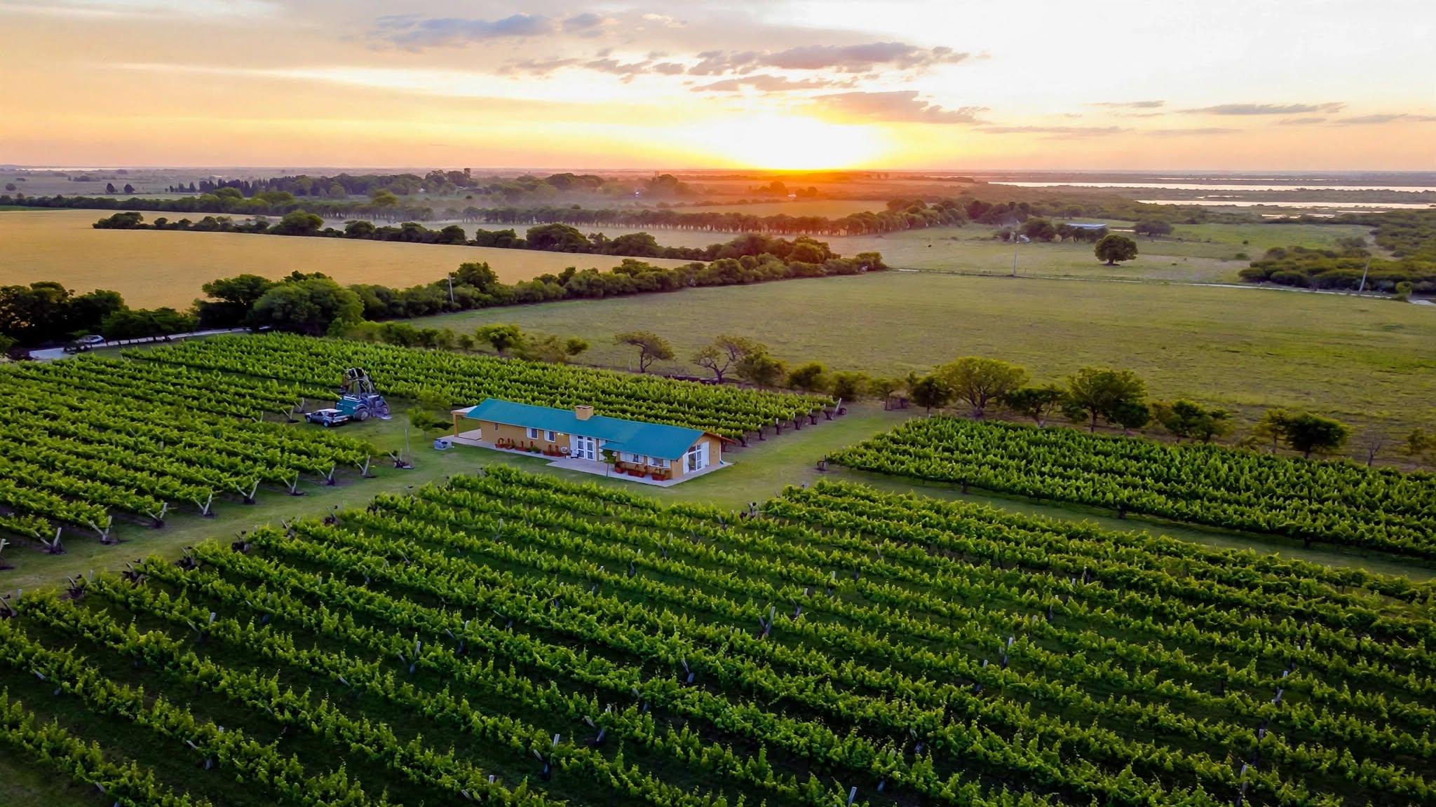 Paraná será sede de las Jornadas Nacionales de Turismo del Vino y del Primer Congreso Regional de Vitivinicultura
