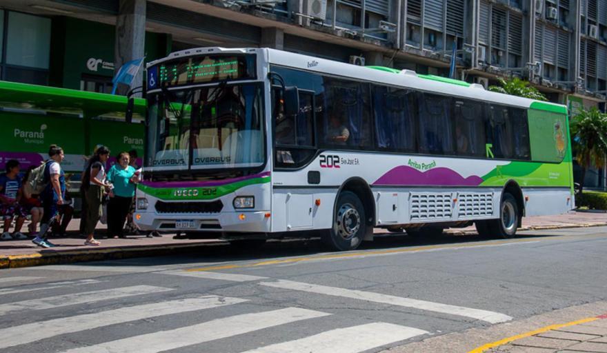 Nuevas líneas y recorridos de colectivos en Paraná: todos los detalles