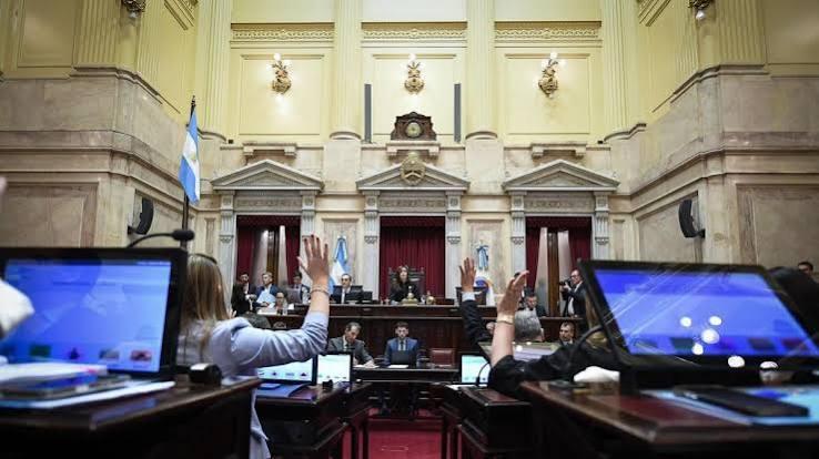 El Senado aprobó la reforma de la Ley de Salud Mental: cambia el criterio de internación involuntaria y suma a las familias